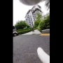 【動画】猫に首輪カメラをつけてみる ⇒ 想像以上に厳しい猫社会の現実がこちら・・・