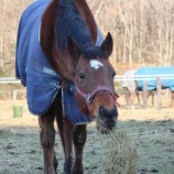 『愛されキャラ』の画像