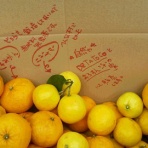 へんな村×自然や　～猟・漁・農への道～