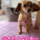 歳をとると？？