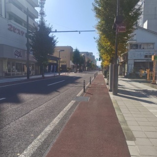 店長の犬猫な日々　山形ペットショップ　店長　ブログ
