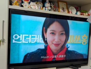 ミスホンは潜入捜査中