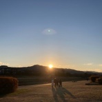 tour de douguのブログですよ