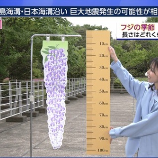 激烈！女子アナニュース