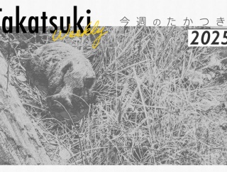 イオン高槻に牡蠣小屋がオープン予定だったり、ハートのベビーカステラ店がプレオープン予定だったり【今週のたかつき】