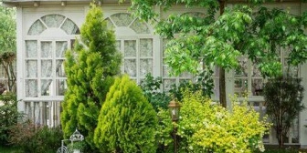 義兄嫁が売りに出してる家が植物に囲まれてて見栄えが悪いからか全然売れない。不動産屋から植物を撤去したらと提案されたらしいけど…