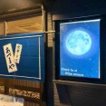  blue moon。