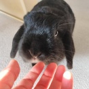 優しいこんぶ。