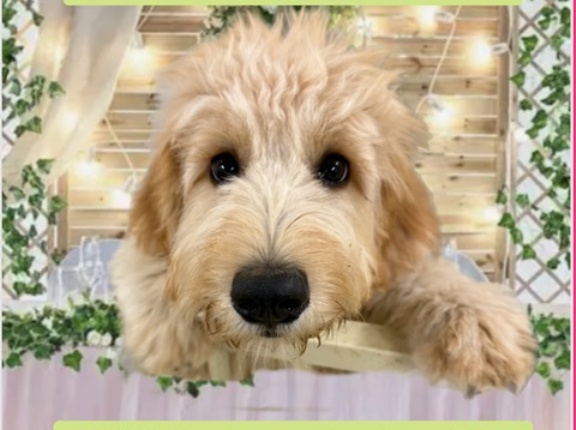 日曜日赤坂サカス開催予定です👍