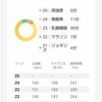 城東ドンキーズ No.22      【JD No.22】