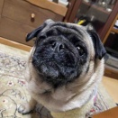 金曜日の、さんちゃん。