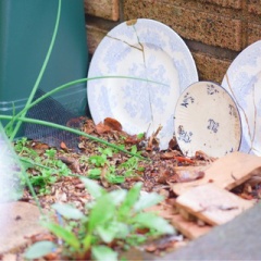 欠けた食器の使い道｜庭に置いて楽しんでいます