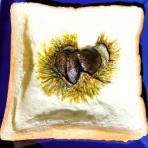 食パンの窓