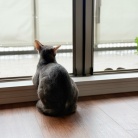 雨の夏休み