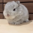 そのまま寝そう