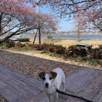 アボちゃんのアボカドブログ