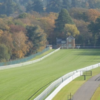 ☆うまなみ・競馬にゅーす速報