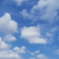 蝉の鳴き声が聞こえない