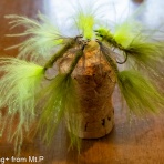 Flyfishing+ from Mt.Pigeons!