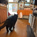 皆様の街の春休みは盛り上がっていらっしゃるでしょうか？