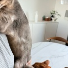 朝の抱っこ渋滞