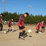 『植木にて』の画像