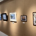 海鳥の企画展示を開催！