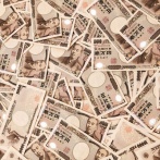 【画像】彡(°)(°)「え、このカニに素手で勝てたら1億円！？やるやるぅ～！！」→