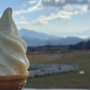 清泉寮といえば…