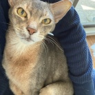 甘甘ボーイの抱っこで、家事が進まない