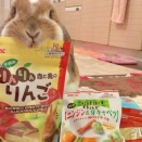 〜特別で素敵なモノ〜