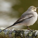 長居公園ご案内