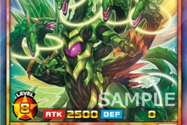 遊戯王&ドラゴンボール通販予約情報局