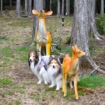 メロディ＆ミニーの写真館