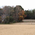 らんぼう窯風信