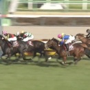 【競馬】スプリングSの勝ち馬アウダーシアは皐月賞をパスし日本ダービーに直行