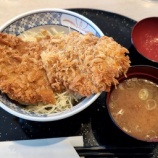 『ゴルフ飯 リバーサイドフェニックスGC(埼玉)「わらじカツ丼」でかい! だが・・・』の画像