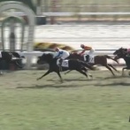 【2歳新馬】ロードスタニング銀行開業