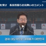 鳶の羽