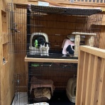 家をさがすのじゃ～～～～