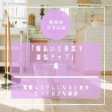 �آ�Epi.262������Ũ�ʥޥ���ˤʤ뤿��ΤȤäƤ���������١��ڤ���������δ����μ�����ʧ�����߻�Ǳ������åס����ԡ٤β���