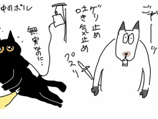 猫の胃腸炎②