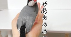 永遠の追いかけっこが面白かった