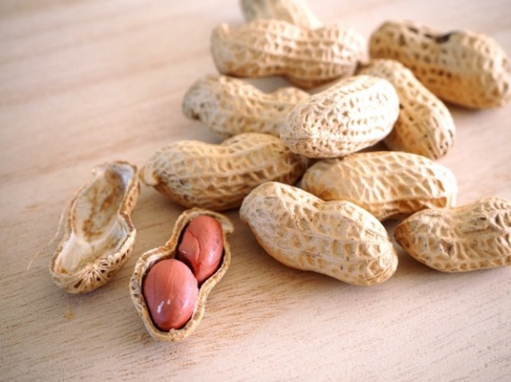 千葉県八街産の落花生が詰め放題！『いっぺこ～と』で『落花生詰め放題』開催！1月31日、2月1日。