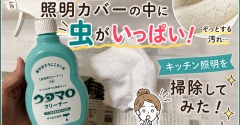 【照明カバー掃除】中を見たら虫がいっぱい！キッチン照明を掃除してみた