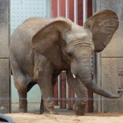 激怒プンプン丸な姉妹