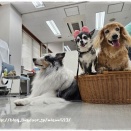 ★楽しかった訪問活動♪★