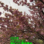 さいとう武次郎の日記【倉敷市議会議員】