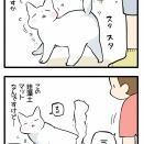 お尻トントンしてほしい猫の誘導が上手