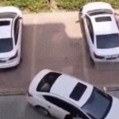 ちょっと俺に貸してみな。バック駐車ができない彼女のために運転を変わったが・・・。海外の反応